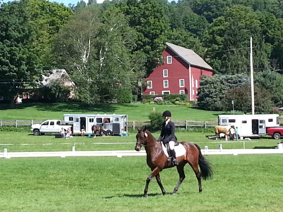 Great New England Equestrian Destinations A Glimpse Into Woodstock Vermont s Horse Country 